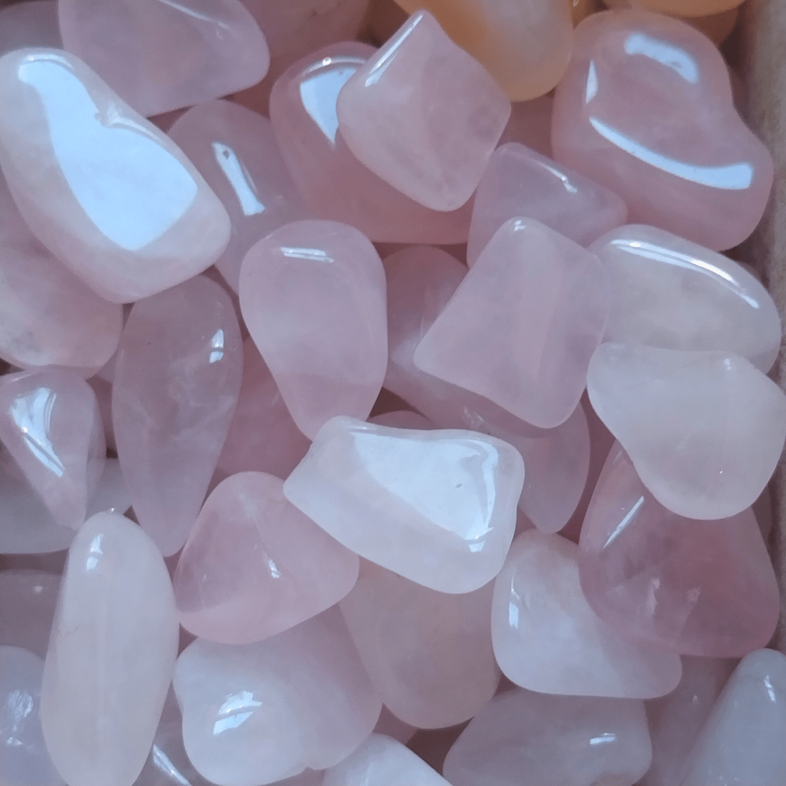 Rose Quartz 10-20mm