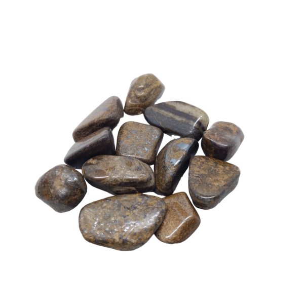 Polished Bronzite Tumble 20-30mm