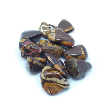 Picture-Nguni-20---25mm